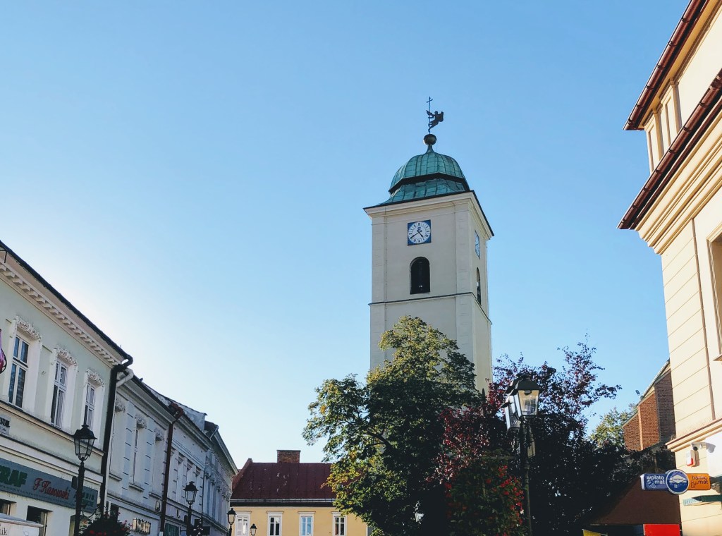 Rzeszowski Program opieki nad zwierzętami bezdomnymi w 2022&nbsp;roku