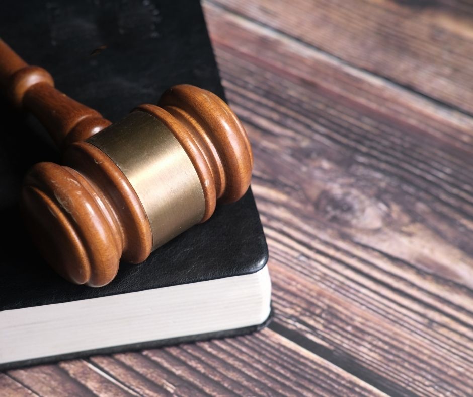 Reżim prawny zwierząt – konieczność czy&nbsp;utopia?